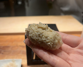 Dinner at HATSUNEZUSHI (初音鮨)