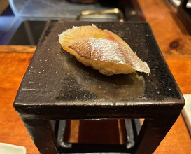 Dinner at HATSUNEZUSHI (初音鮨)