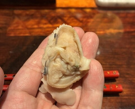 Dinner at HATSUNEZUSHI (初音鮨)