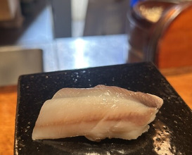 Dinner at HATSUNEZUSHI (初音鮨)