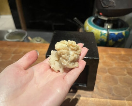 Dinner at HATSUNEZUSHI (初音鮨)