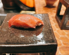 Dinner at HATSUNEZUSHI (初音鮨)
