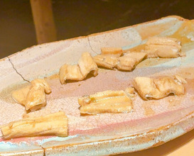 Dinner at HATSUNEZUSHI (初音鮨)