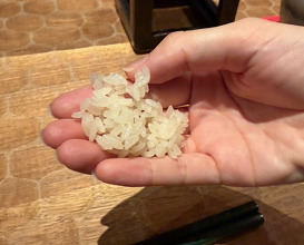 Dinner at HATSUNEZUSHI (初音鮨)