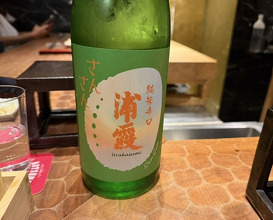 Dinner at HATSUNEZUSHI (初音鮨)
