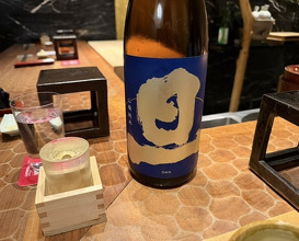 Dinner at HATSUNEZUSHI (初音鮨)