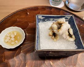 Dinner at Higashiyama Ogata
