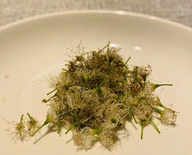 Dinner at Hikariya Nishi (ヒカリヤ ニシ)
