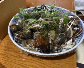 Dinner at Hinode (日の出)