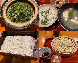 Dinner at Nihonryori Beppu Hirokado