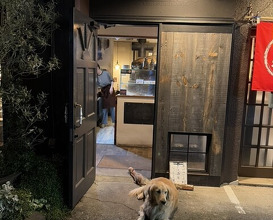 Dinner at IL PIZZAIOLO (イル・ピッツァイオーロ)