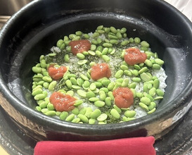 Dinner at Restaurant Inaya