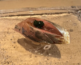 Dinner at Sushi Ino (鮨　いの)