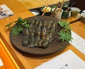 Dinner at Isshinzushi Koyo