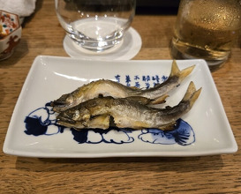 Dinner at Izumo (出雲)