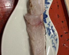 Dinner at Dogo Kaishu (道後 海舟)
