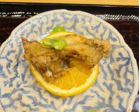 Dinner at Dogo Kaishu (道後 海舟)