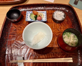 Dinner at Dogo Kaishu (道後 海舟)
