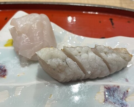Dinner at Dogo Kaishu (道後 海舟)
