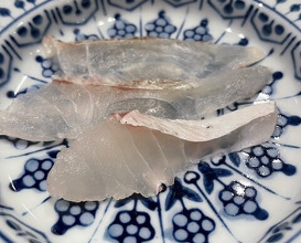 Dinner at Dogo Kaishu (道後 海舟)