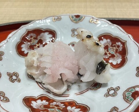 Dinner at Dogo Kaishu (道後 海舟)