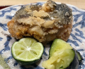 Dinner at Dogo Kaishu (道後 海舟)