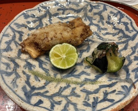Dinner at Dogo Kaishu (道後 海舟)