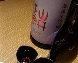 Dinner at Dogo Kaishu (道後 海舟)