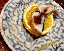 Dinner at Dogo Kaishu (道後 海舟)