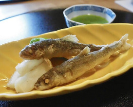 Dinner at Kashiwaya Osaka Senriyama