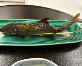 Dinner at Kashiwaya Osaka Senriyama