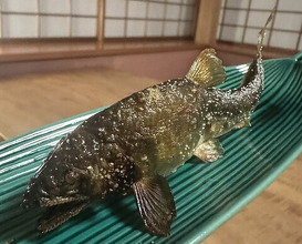 Dinner at Kashiwaya Osaka Senriyama