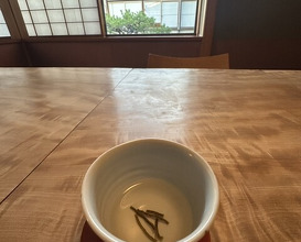 Dinner at Kashiwaya Osaka Senriyama