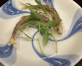 Dinner at Kawada (川田)