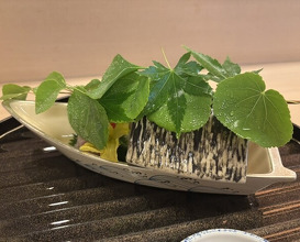Dinner at Kyo Kaiseki Kichisen (京懐石 吉泉)
