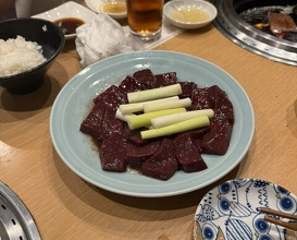 Dinner at Sumiyaki Kinryusan (炭焼 金竜山)