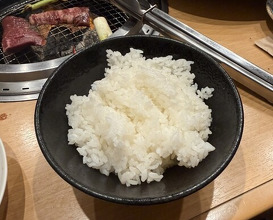 Dinner at Sumiyaki Kinryusan (炭焼 金竜山)
