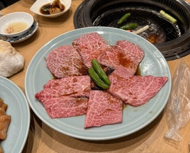 Dinner at Sumiyaki Kinryusan (炭焼 金竜山)