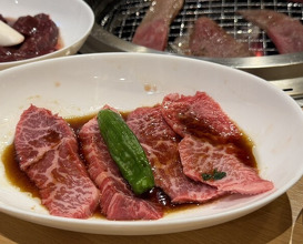 Dinner at Sumiyaki Kinryusan (炭焼 金竜山)