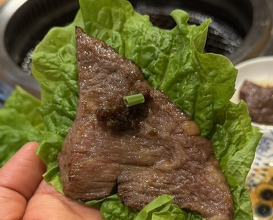 Dinner at Sumiyaki Kinryusan (炭焼 金竜山)