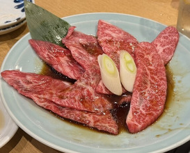 Dinner at Sumiyaki Kinryusan (炭焼 金竜山)