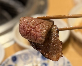 Dinner at Sumiyaki Kinryusan (炭焼 金竜山)