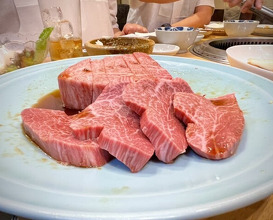 Dinner at Sumiyaki Kinryusan (炭焼 金竜山)