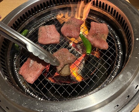 Dinner at Sumiyaki Kinryusan (炭焼 金竜山)
