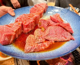 Dinner at Sumiyaki Kinryusan (炭焼 金竜山)