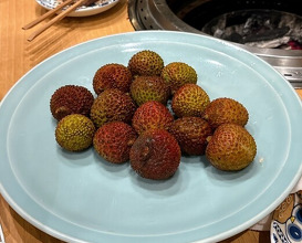 Dinner at Sumiyaki Kinryusan (炭焼 金竜山)