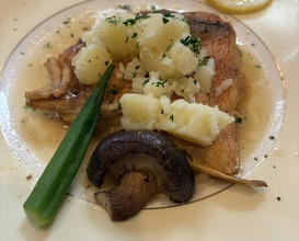 Dinner at Kitajima Tei (北島亭)