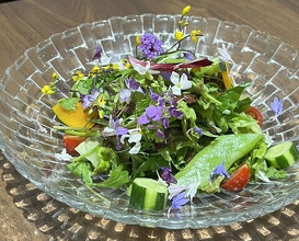 Dinner at kitchen Toshiki (kitchen俊貴)