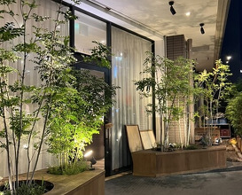 Dinner at kitchen Toshiki (kitchen俊貴)
