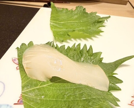 Dinner at Sushi Kizuna (鮓 きずな)